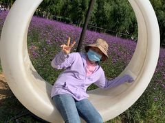 -北戴河集发农业梦想王国