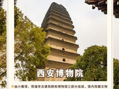 -陕西历史博物馆