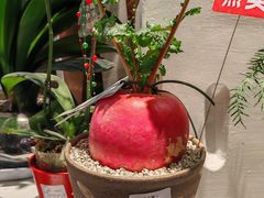 -blt精品超市(南京环宇城店)