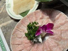 -禄婶鸡煲·打边炉