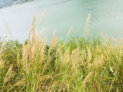 -羚羊峡古栈道森林公园