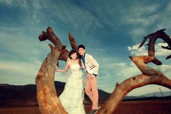 -费拉摄影(天廊T66店)