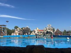 -沈阳龙润夏宫温泉水乐园