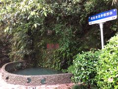 -十八棵（老龙井）御茶园(老龙井店)