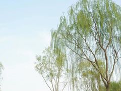 -仁寿山