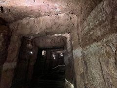 -中国西峡恐龙遗迹园