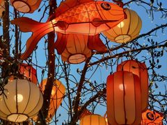 -龙湖星悦荟(颐和店)