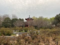 -洛阳市隋唐城遗址植物园