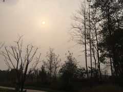 -昆山城市生态森林公园