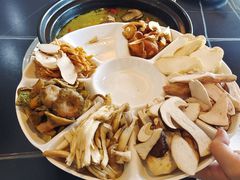 -野菌皇海景野生菌火锅(滨海大道店)