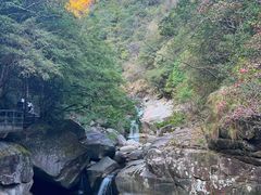 -大鄣山卧龙谷景区