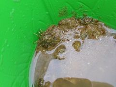 iphone_upload_pic-在海一方公园