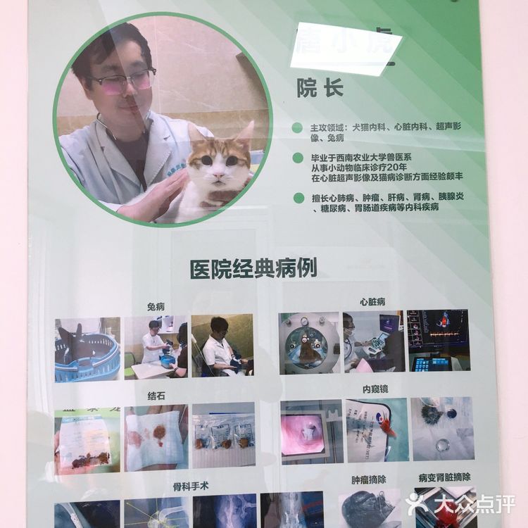 小宝贝要快点恢复健康啊