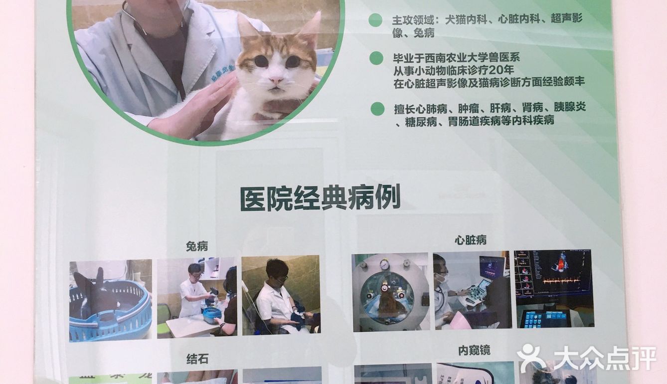 小宝贝要快点恢复健康啊