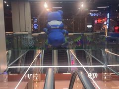 -凯德MALL(望京店)