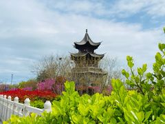 -唐岛湾公园