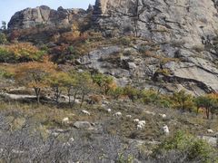 -克什克腾世界地质公园青山景区