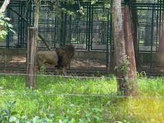 -秦皇岛野生动物园