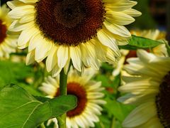 -奥林匹克森林公园北园-停车场