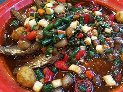 -江湖黑大兔(杨家坪店)
