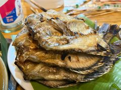 -杨合林啊兰烤鱼