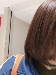 -程Studio