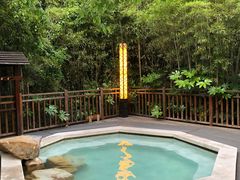 -天目湖涵田半山温泉