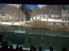 -成都浩海立方海洋公园