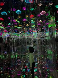 -疯狂冒险家-亲子密室-东坝店(金隅嘉品店)