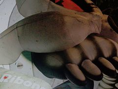 -弗兰克牛排西餐厅Ribone steak house(柠檬花园店)