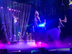 -珠海横琴长隆《卡卡虎奇遇记》