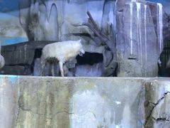 -多彩贵州城极地海洋世界