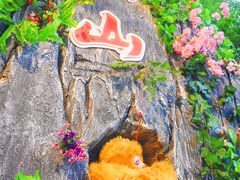 -南湖梦幻岛