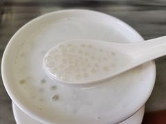 椰汁西米-沙湾姜撞奶甜品店(昌岗中路店)