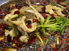 -乡土特色.冷锅鱼.牦牛肉汤锅