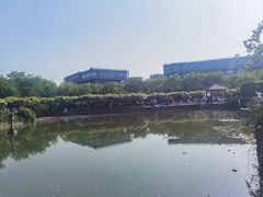 -嘉定紫藤园