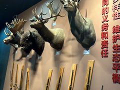 -浙江自然博物院(杭州馆)