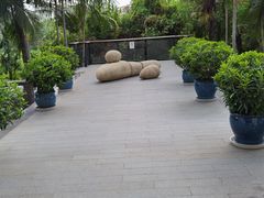 -清水湾假日酒店(行云路店)