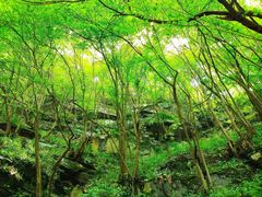 -团圆食府(新东路店)