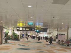 -Bengawan Solo(Changi Airport Terminal 2)