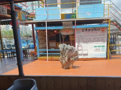 -蓝湾碧波·老字号·疍家非遗海上餐厅