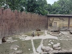 -上海野生动物园