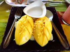 -Jungle Kitchen
