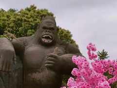 -顾村公园