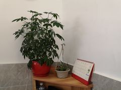 -原怡园面馆(拙政园店)