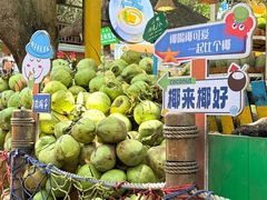 -海南分界洲岛旅游区