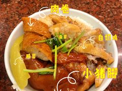 -猪脚洪隆江猪脚饭