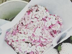-秦美花卉(天朗·莱茵小城2期店)