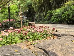 -汇龙潭