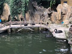 -燕塞湖鸟语林景区